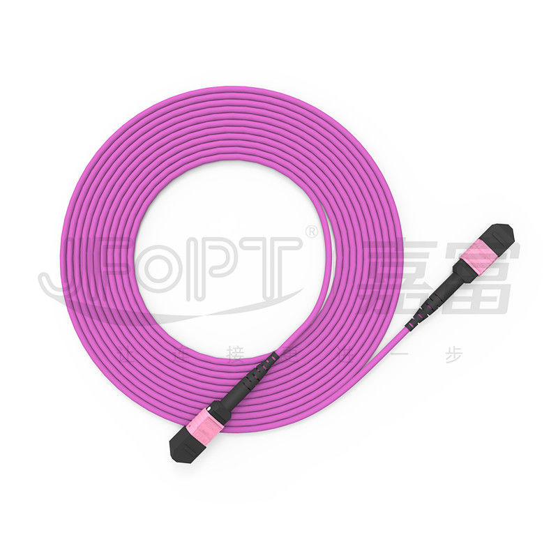 Kerne OM4 in mehreren Betriebsarten 50/125 LSZH 3.0-4.0mm Heather Violet Jumper 100G MTP Verbindungskabel-24