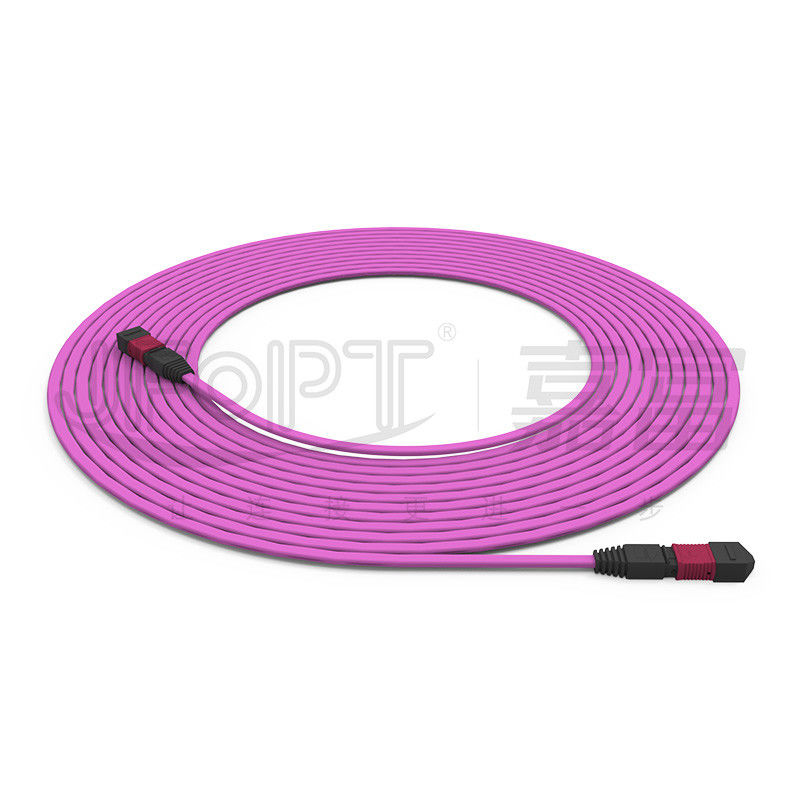 Flammschutztrunkkabel 12-Kern-Multimode 50/125 OFNR/OFNP