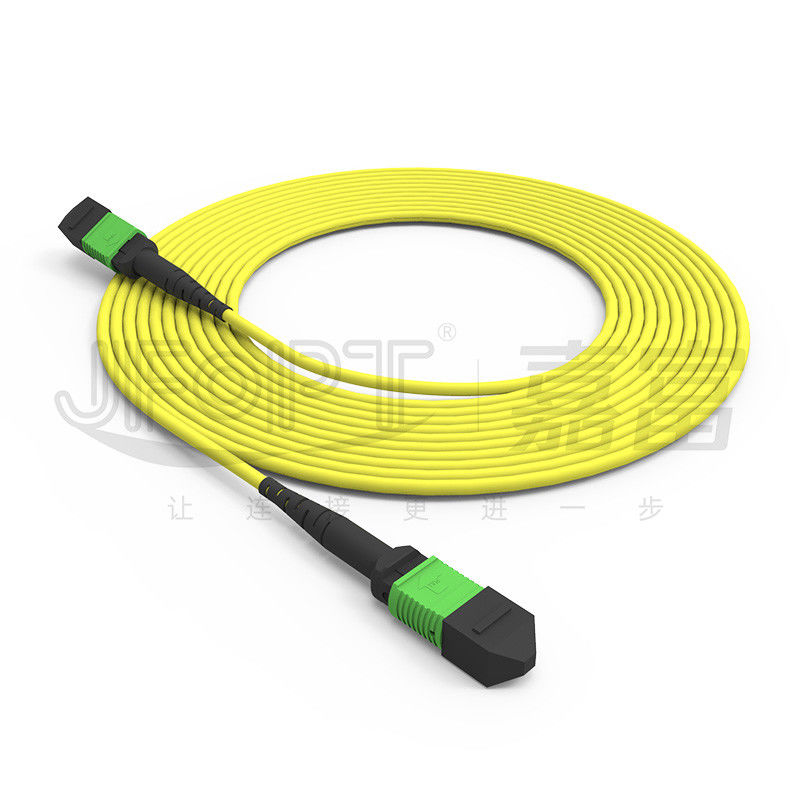 12-Kern-MPO-Stammkabel Patch-Cord Einzelmodus G657A1/G657A2 3.0 LSZH A/B-Polaritätsumkehrung