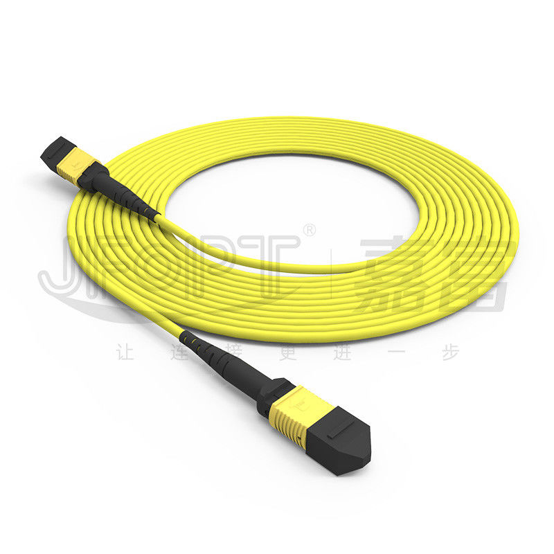 12-Kern-MPO-Stammkabel Patch-Cord Einzelmodus G657A1/G657A2 3.0 LSZH A/B-Polaritätsumkehrung
