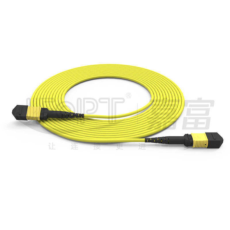 12-Kern-MPO-Stammkabel Patch-Cord Einzelmodus G657A1/G657A2 3.0 LSZH A/B-Polaritätsumkehrung