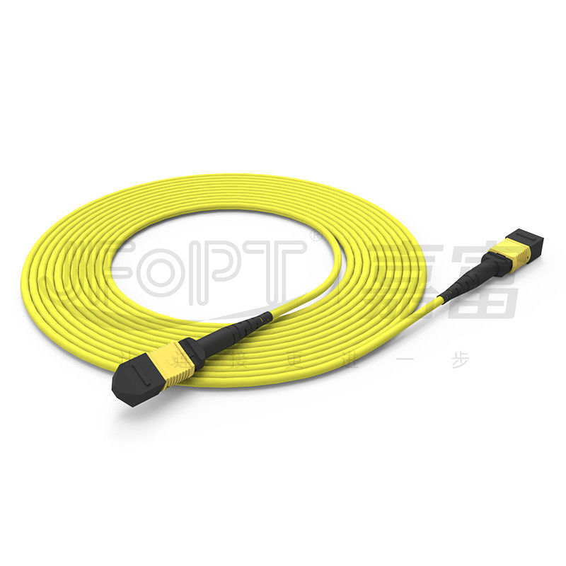 12-Kern-MPO-Stammkabel Patch-Cord Einzelmodus G657A1/G657A2 3.0 LSZH A/B-Polaritätsumkehrung