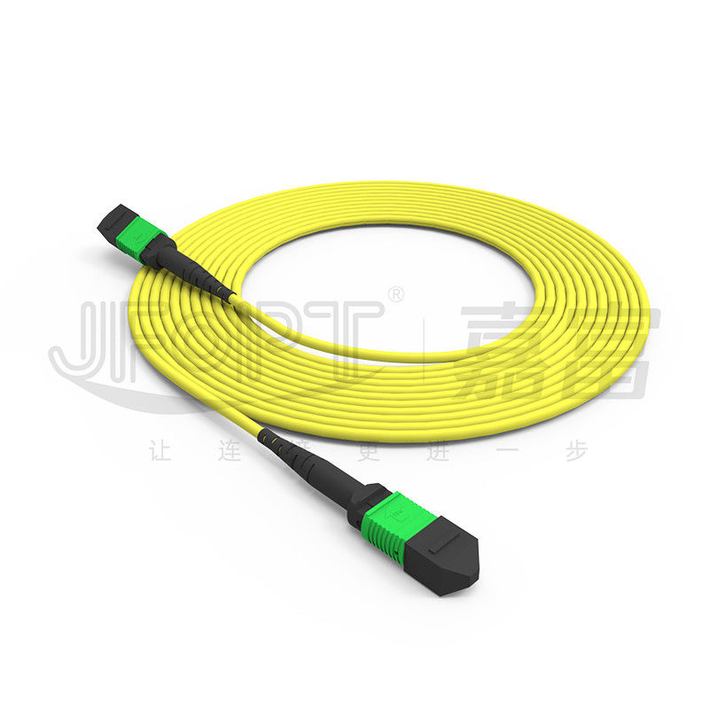 24-Kern-Single-Mode-MPO-Rumpfkabel G657A1/G657A2 Rückgratspringer