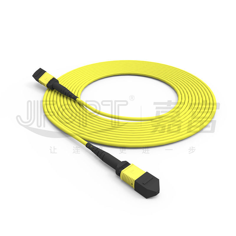 24-Kern-Single-Mode-MPO-Rumpfkabel G657A1/G657A2 Rückgratspringer