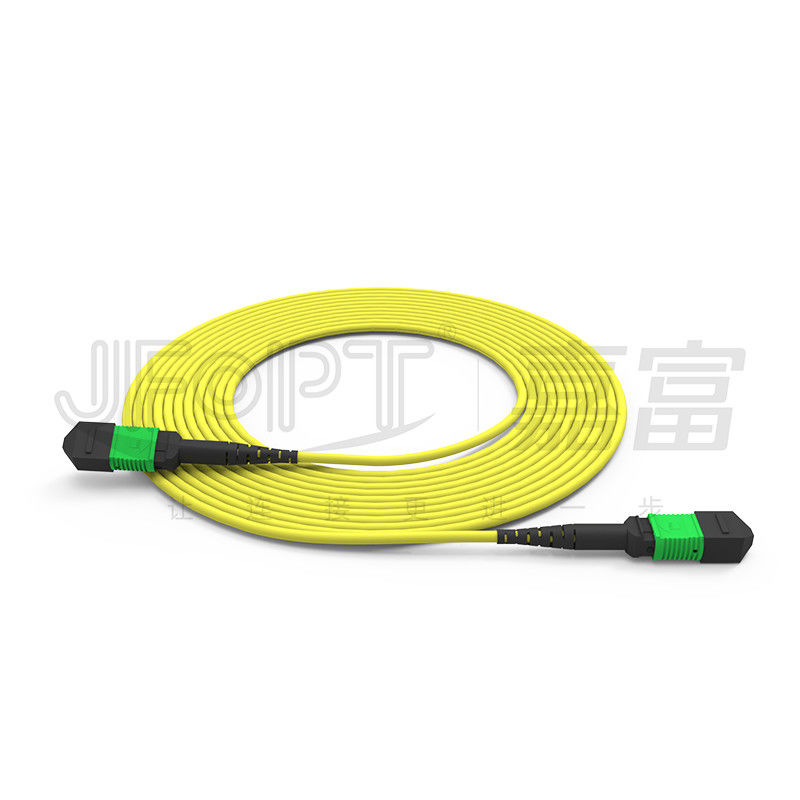 24-Kern-Single-Mode-MPO-Rumpfkabel G657A1/G657A2 Rückgratspringer