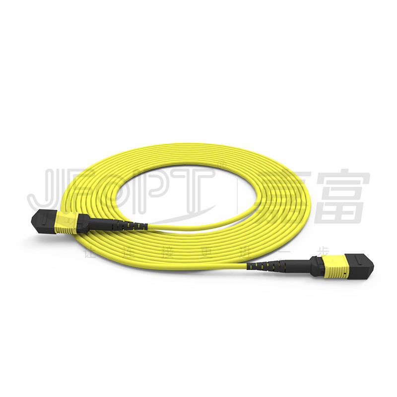 24-Kern-Single-Mode-MPO-Rumpfkabel G657A1/G657A2 Rückgratspringer