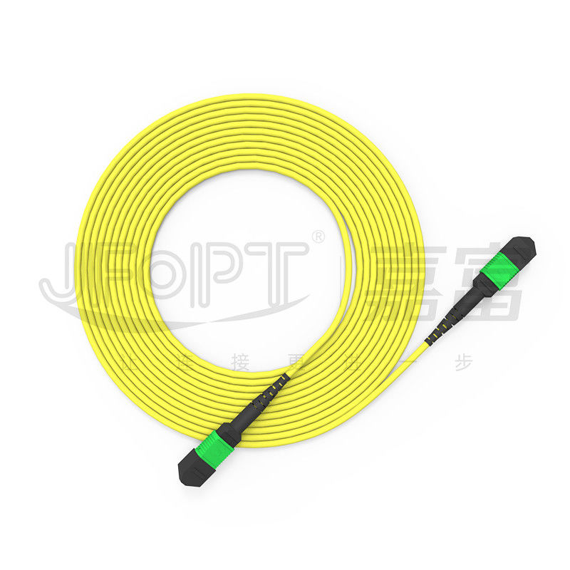 24-Kern-Single-Mode-MPO-Rumpfkabel G657A1/G657A2 Rückgratspringer