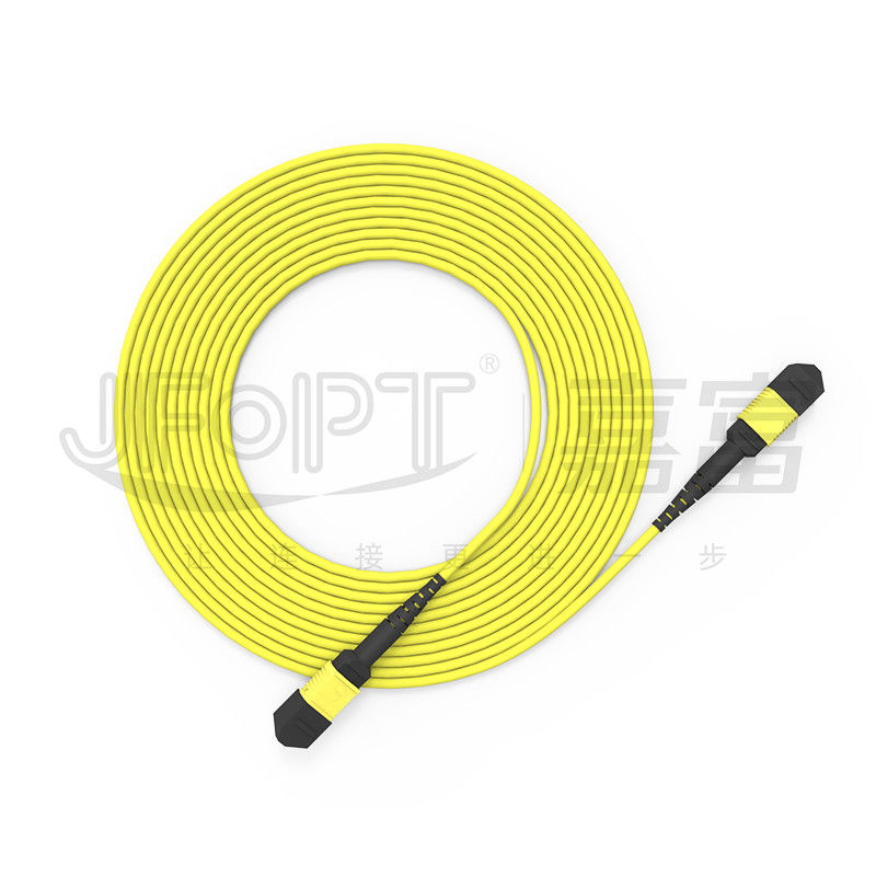 24-Kern-Single-Mode-MPO-Rumpfkabel G657A1/G657A2 Rückgratspringer