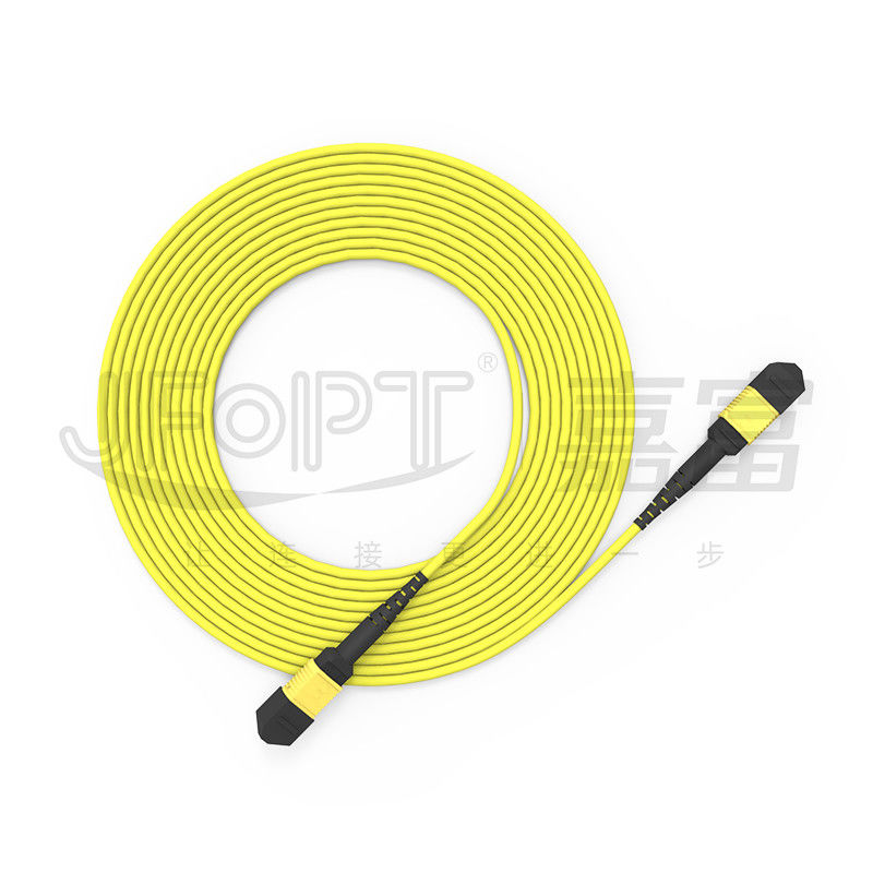 10 Gigabit MPO Patch Cord Schnellverbindung für optische Signalverbindung im Computerraum