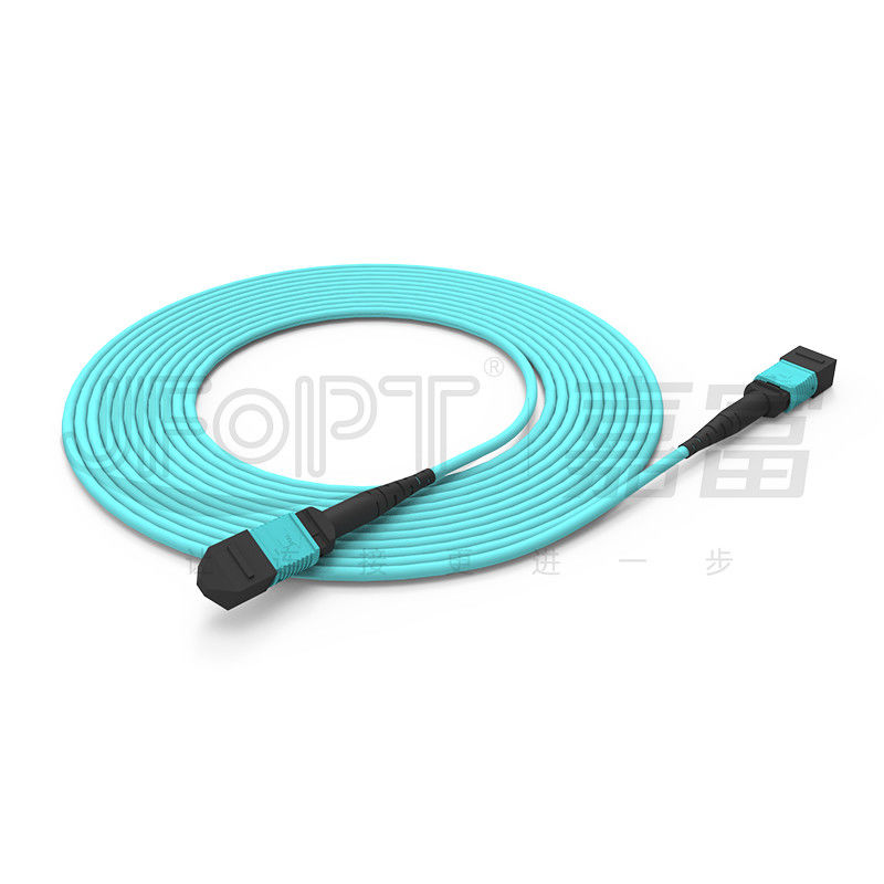 10 Gigabit MPO Patch Cord Schnellverbindung für optische Signalverbindung im Computerraum
