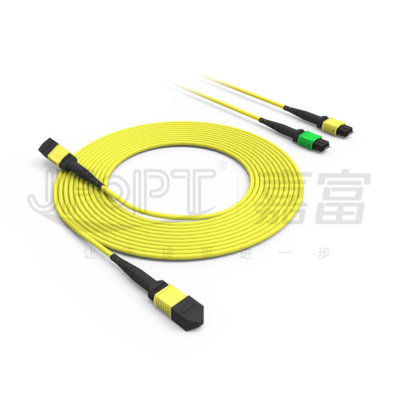 MPO Patch Cord SM 12-Kern-Kabelpreis Glasfaserkabel Glasfaserkabel Innen- und Außenfaserkabel