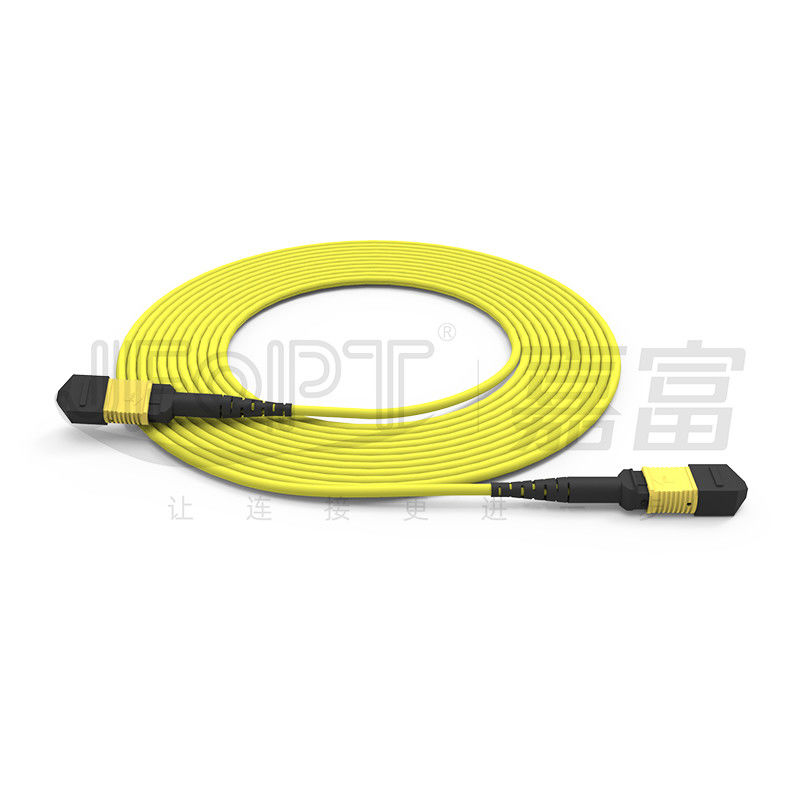 MPO Patch Cord SM 12-Kern-Kabelpreis Glasfaserkabel Glasfaserkabel Innen- und Außenfaserkabel