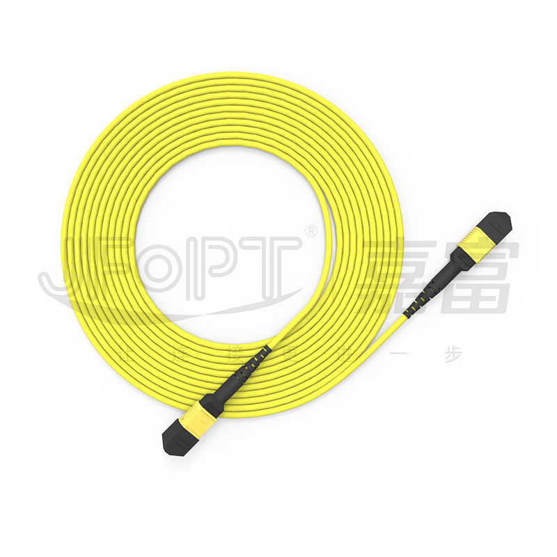 MPO Patch Cord SM 12-Kern-Kabelpreis Glasfaserkabel Glasfaserkabel Innen- und Außenfaserkabel